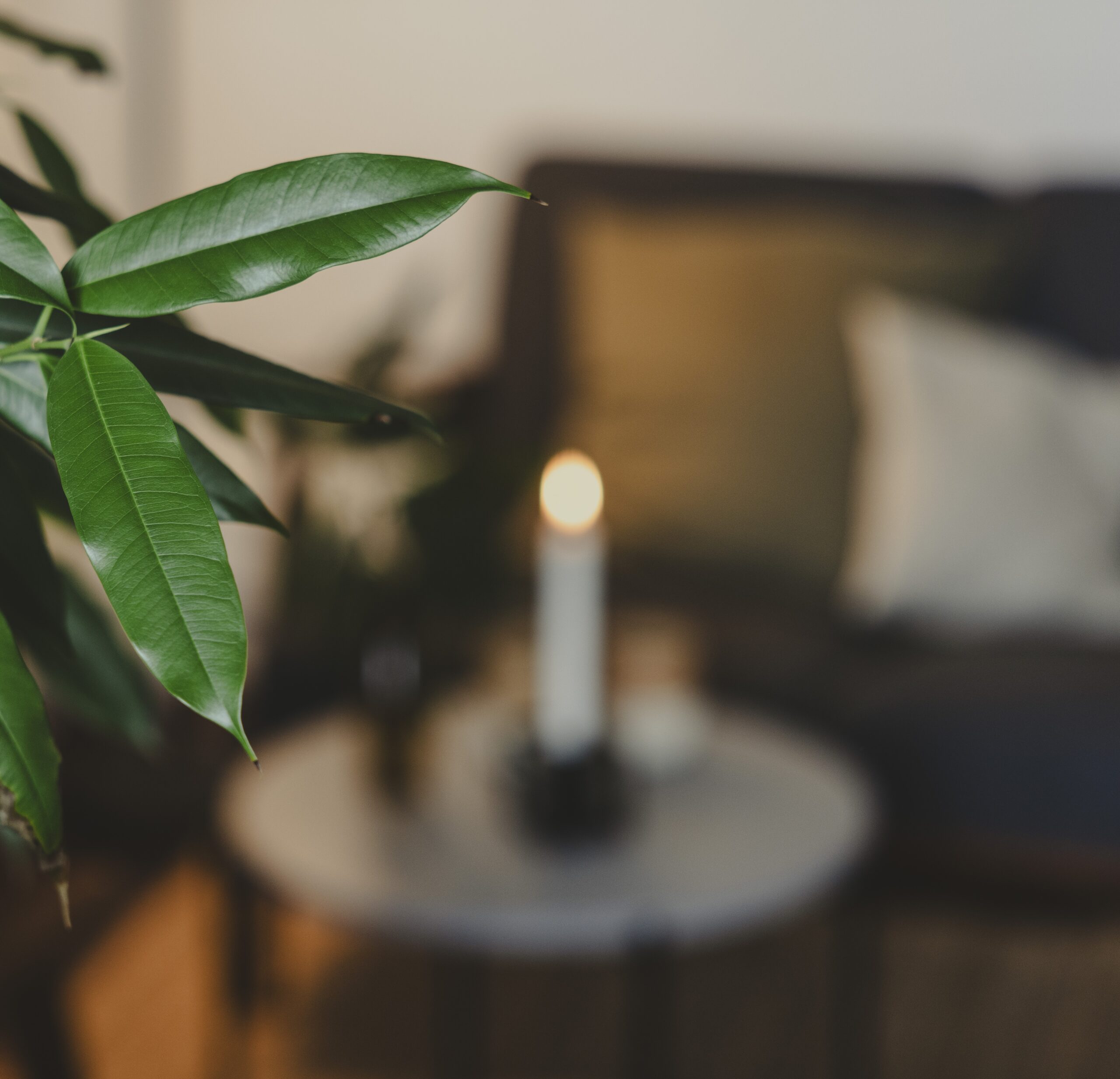 Traumebinding i relationer